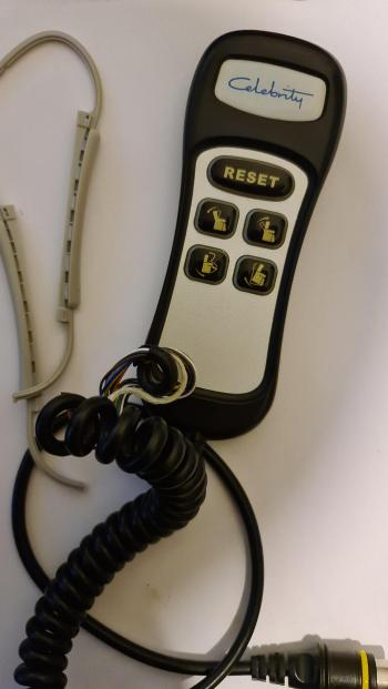 Celebrity  customers remote control for repair