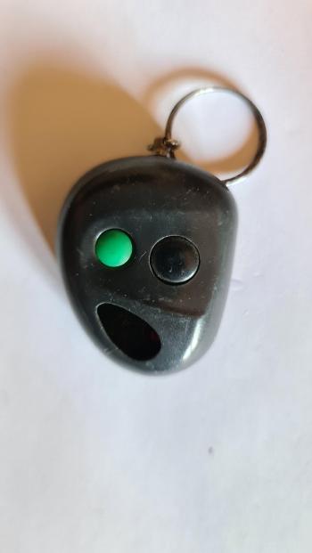 Cardale   Remote Control Repair