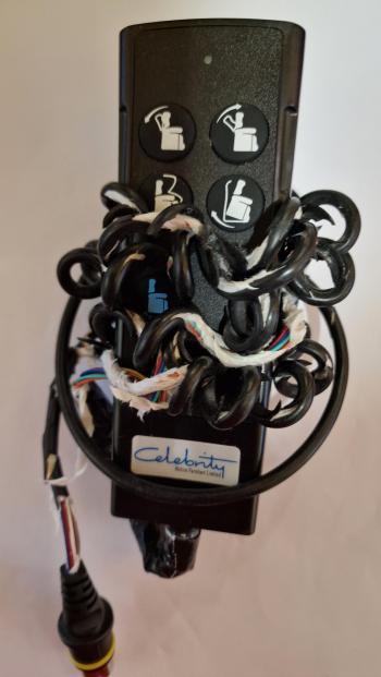 Celebrity   customers remote control for repair