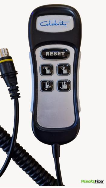 Celebrity  customers remote control for repair