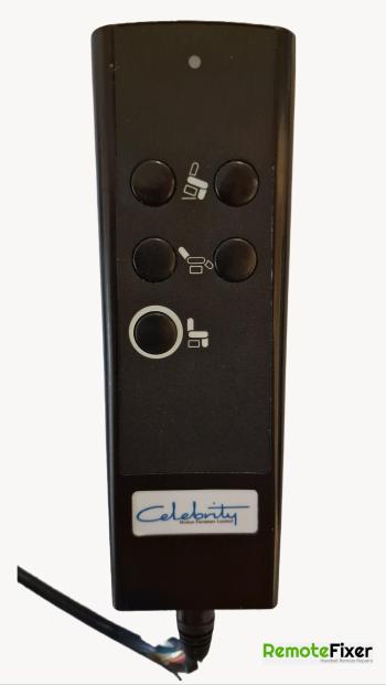 Celebrity   customers remote control for repair