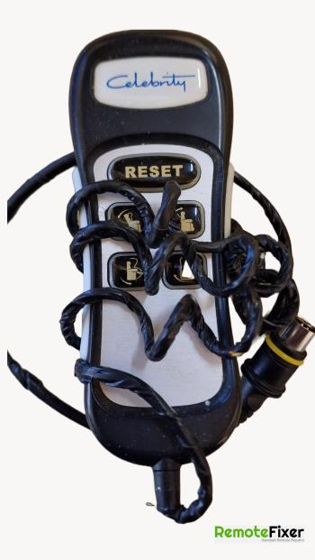 Celebrity  customers remote control for repair