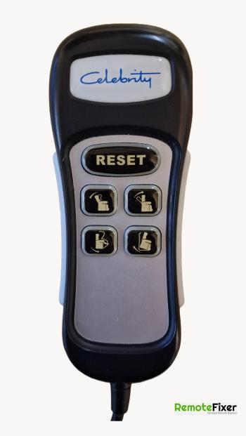 Celebrity   customers remote control for repair