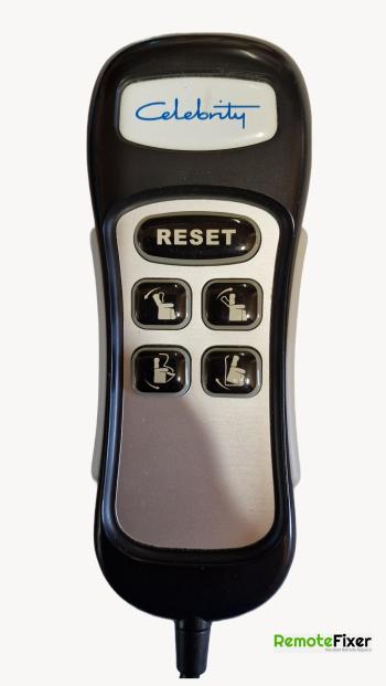 Celebrity    customers remote control for repair