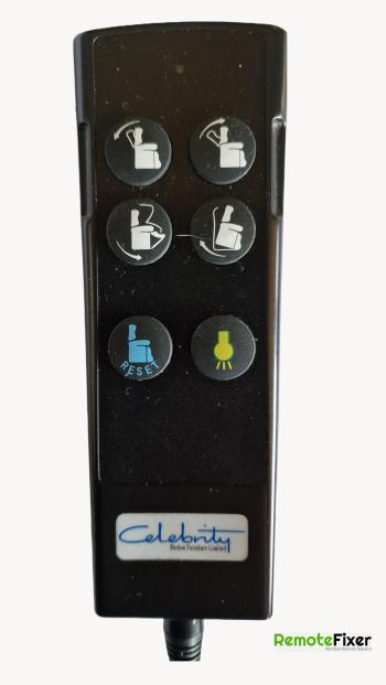 Celebrity  customers remote control for repair