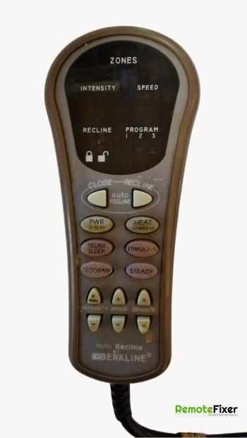 Birkline 3402hr Remote Control Repair