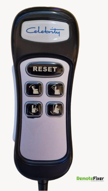Celebrity  customers remote control for repair