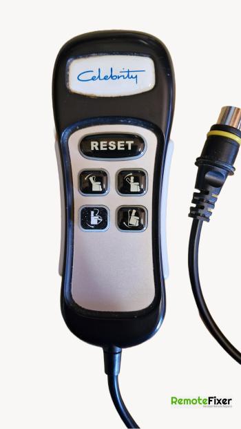 Celebrate  Remote Control Repair