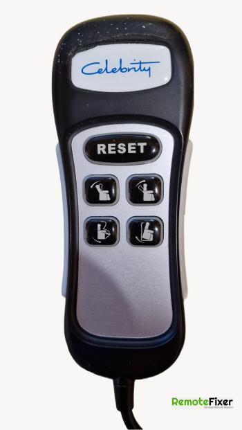Celebrity  customers remote control for repair
