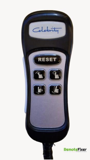 Celebrity   customers remote control for repair