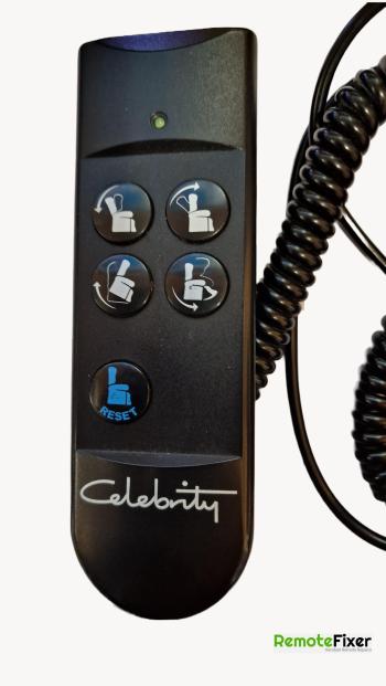 Celebrity  customers remote control for repair