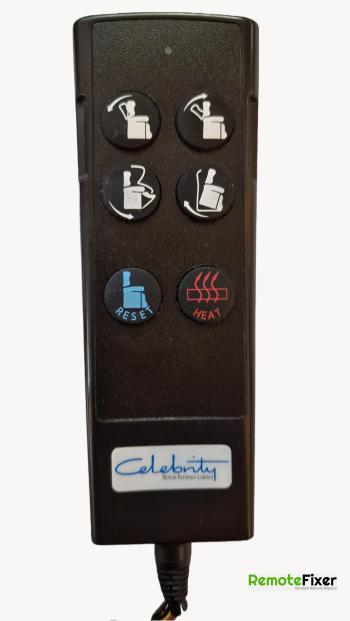 Celebrity   customers remote control for repair