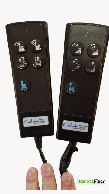 Celbrity  customers remote control for repair