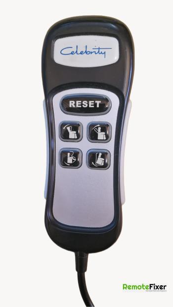 Celebrity   customers remote control for repair