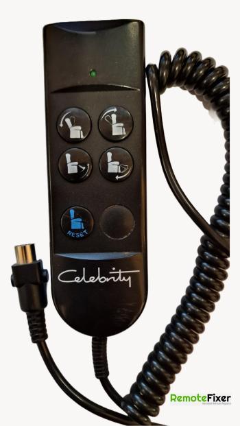 Celebrity  customers remote control for repair