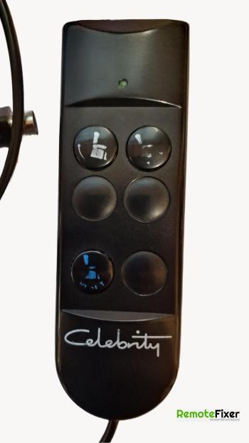 Celebrity  customers remote control for repair