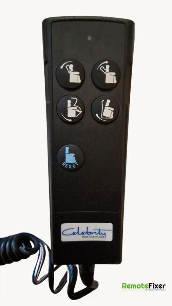 Celebrity  customers remote control for repair