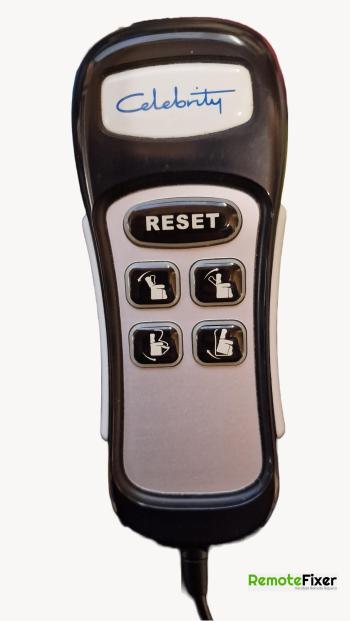 Celebrity  Remote Control Repair