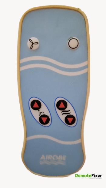 Triton body dryer  customers remote control for repair