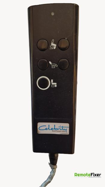 Celebrity  customers remote control for repair