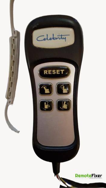 Hsl Celebrity  customers remote control for repair