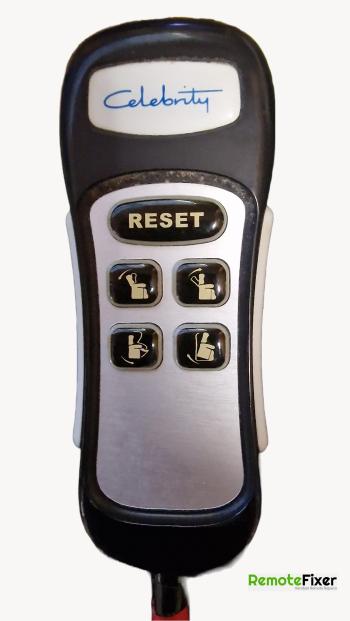 Celebrity  customers remote control for repair