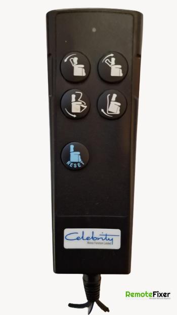 Celebrity  customers remote control for repair