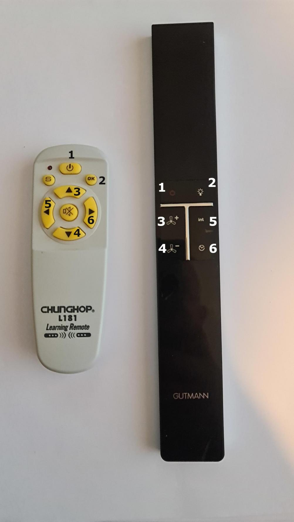 gutmann clone remote