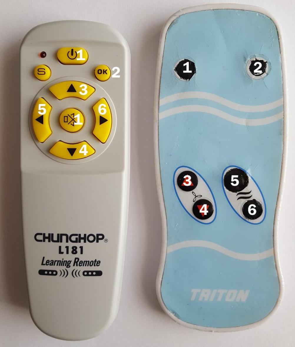 Triton Clone remote