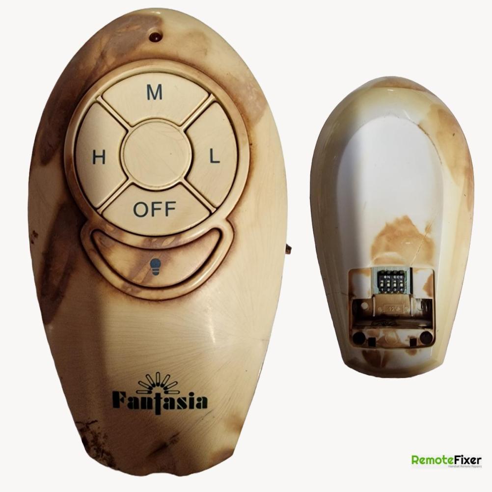 FANTASIA  Remote Control - Front Image