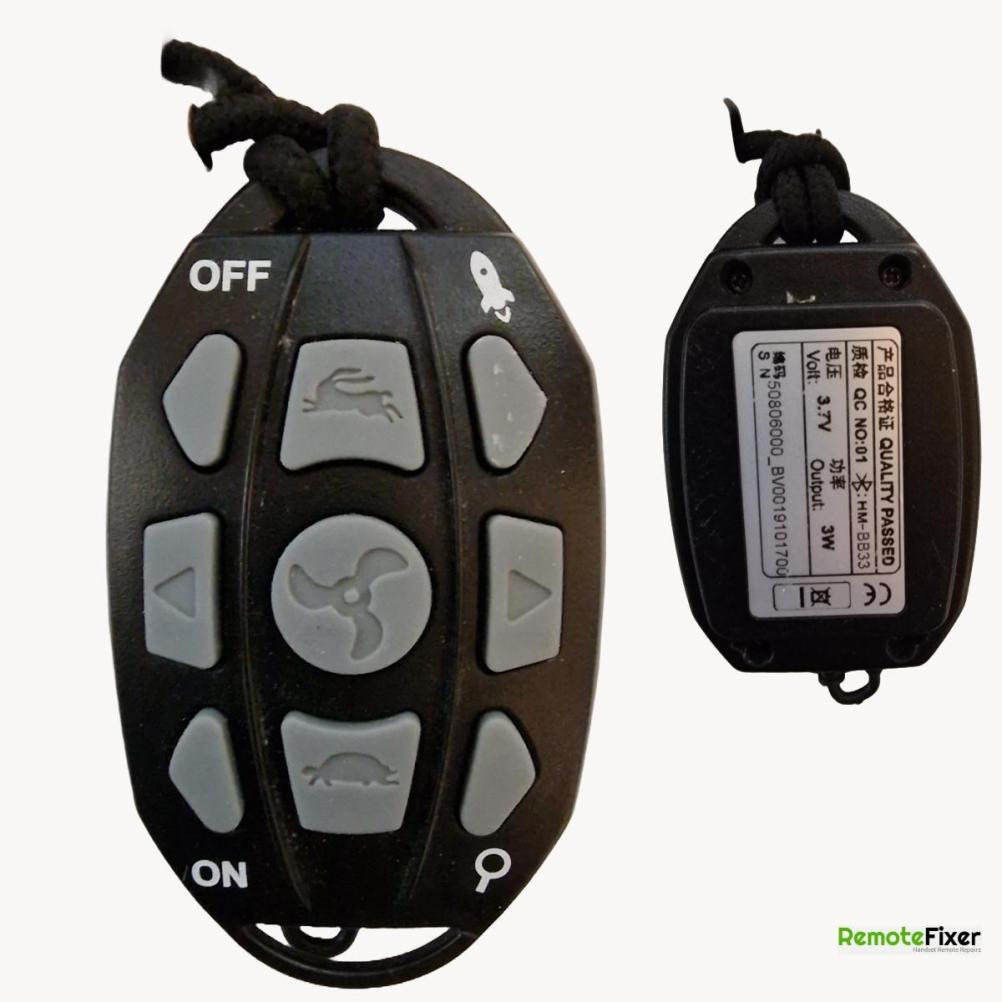 Haswing   Remote Control - Front Image