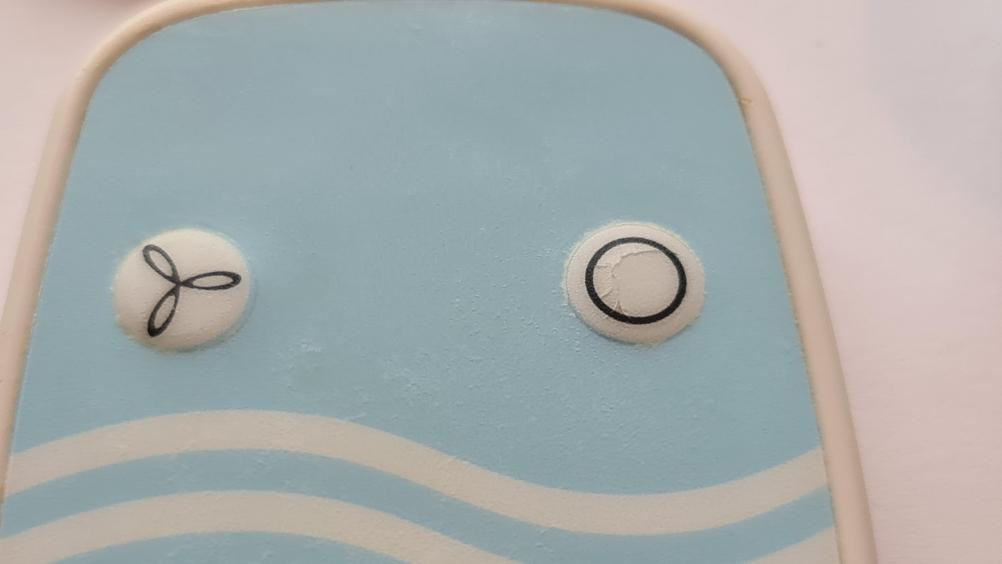 Triton Remote Control - Inside Image