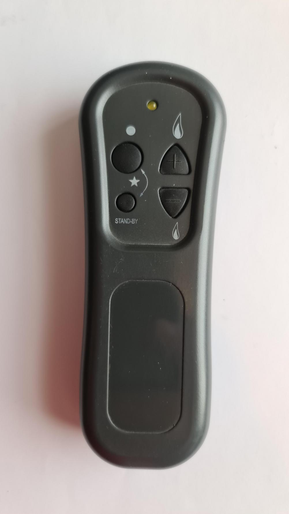 Bernie Fire  Remote Control - Front Image